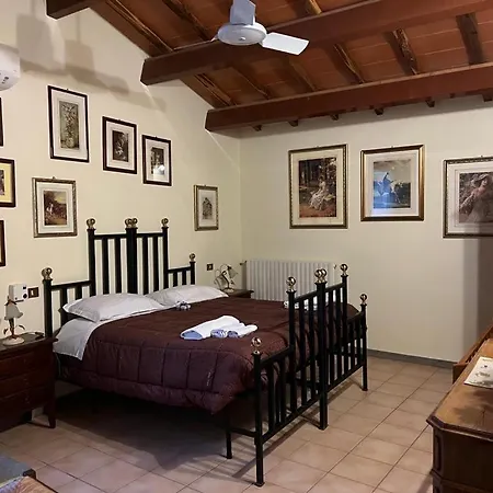 Il Girasole E Il Tulipano