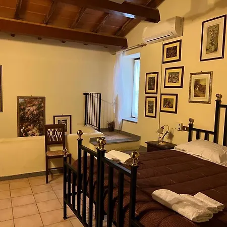 Il Girasole E Il Tulipano