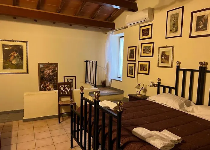 Il Girasole E Il Tulipano